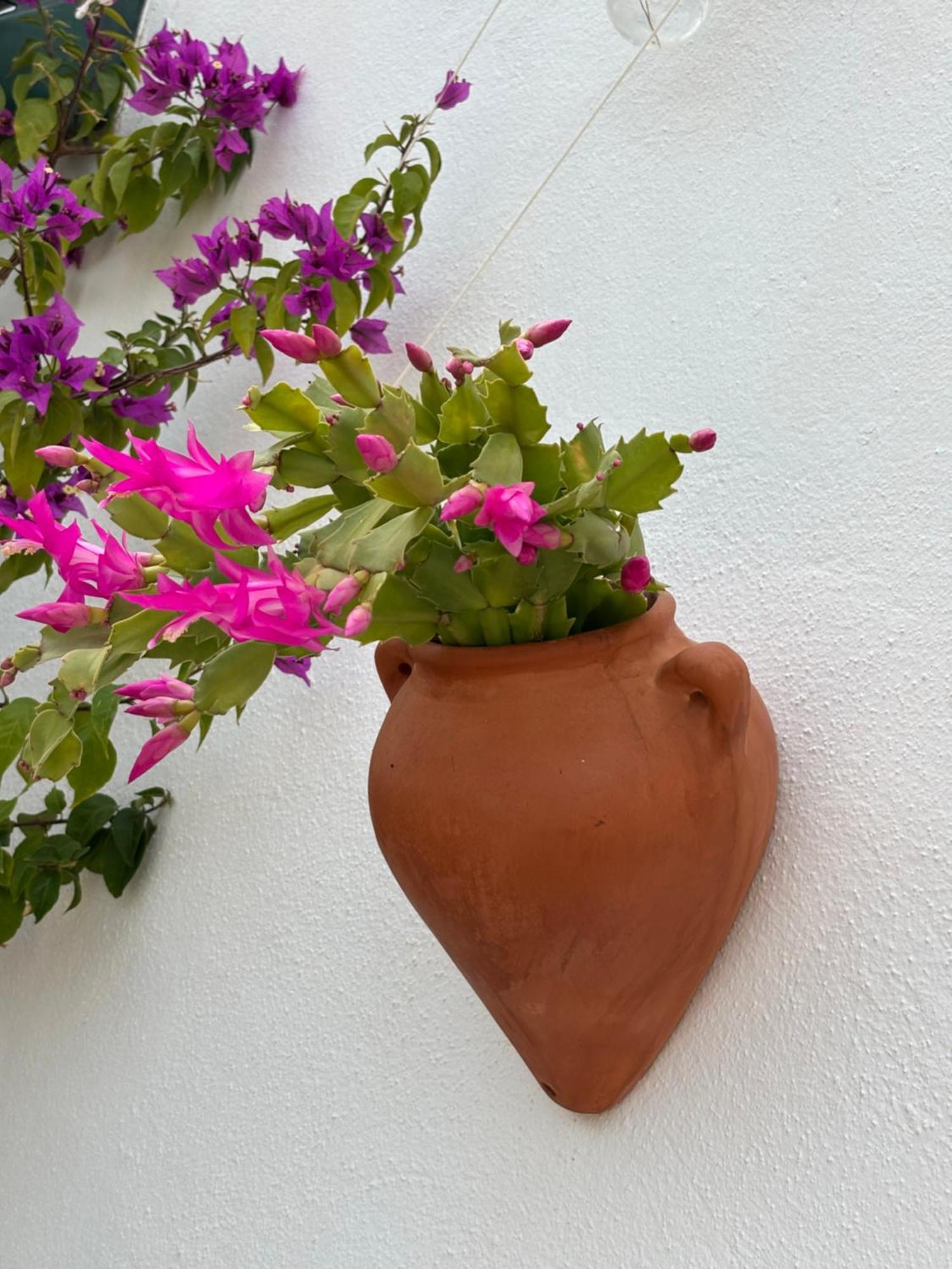 Casa Alta B&B トロクス・コスタ エクステリア 写真