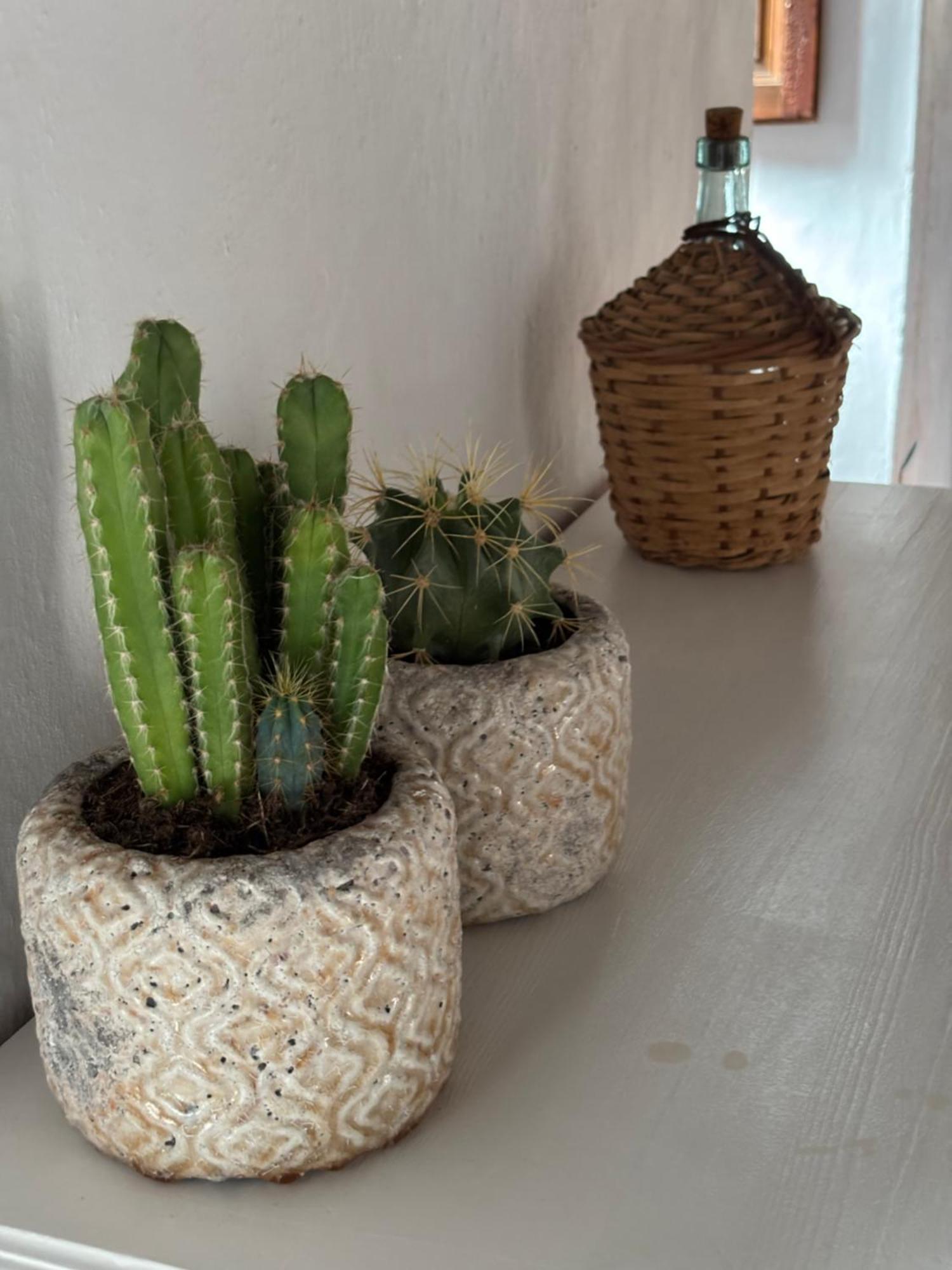 Casa Alta B&B トロクス・コスタ エクステリア 写真