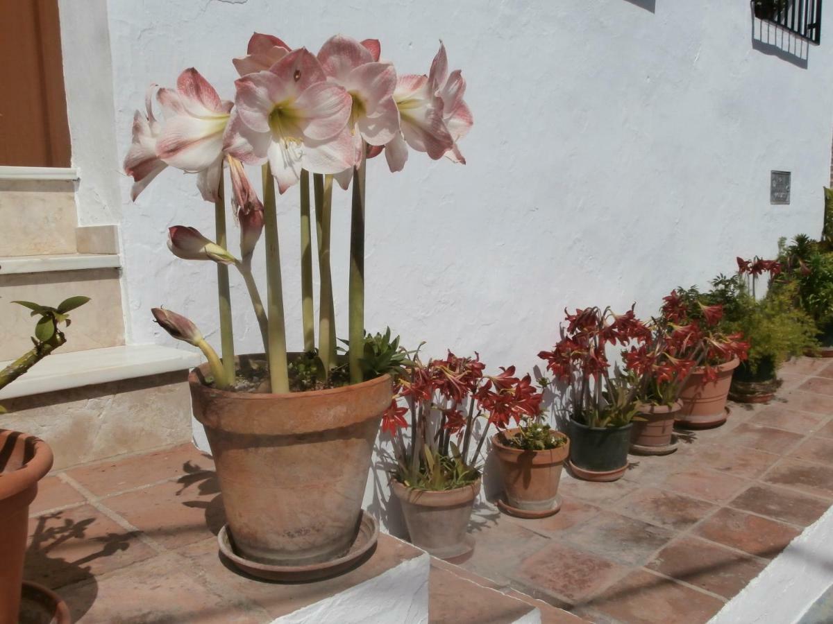 Casa Alta B&B トロクス・コスタ エクステリア 写真